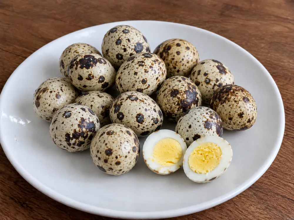 Telur Puyuh